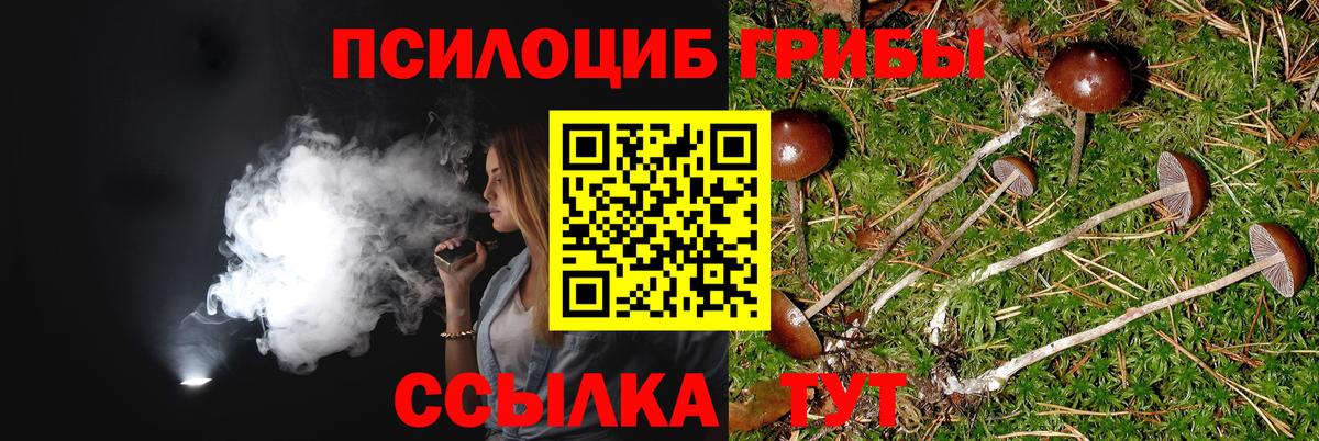Галлюциногенные грибы ЛСД  Вход с VPN  Калач-на-Дону  Псилоцибиновые грибы MAGIC MUSHROOMS 